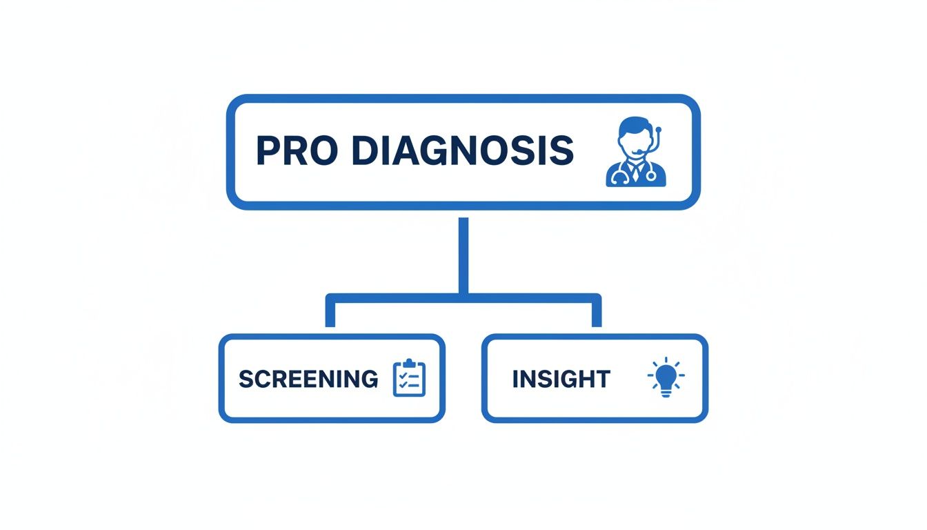 A blue flowchart illustrating a professional diagnosis process, including screening and gaining insights.