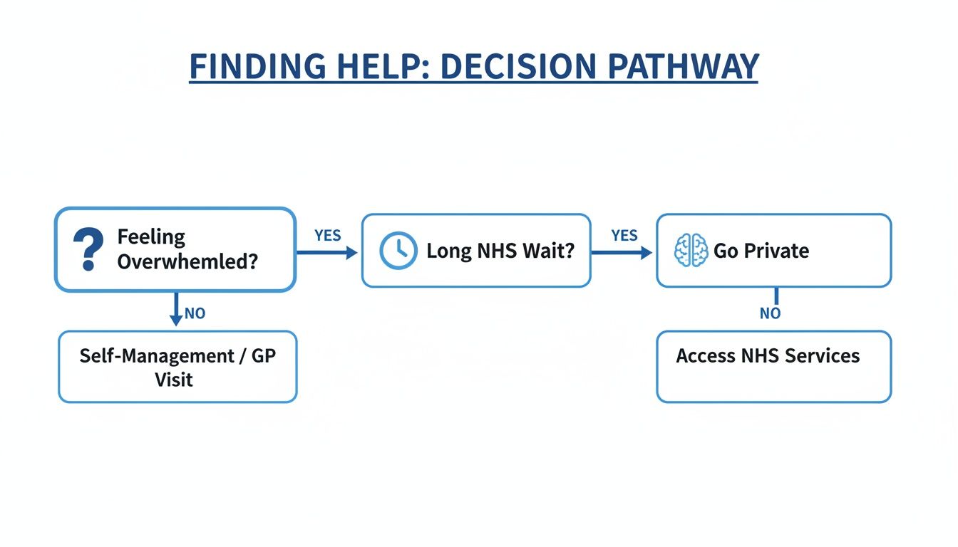 Flowchart outlining decision pathway for finding help, including NHS and private options.