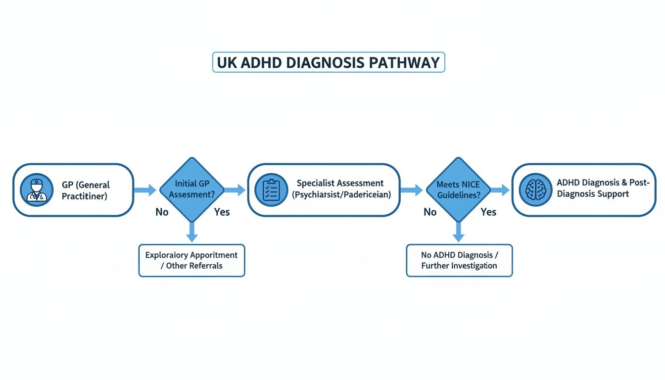 Flowchart illustrating the UK ADHD diagnosis pathway, from GP assessment to specialist review and diagnosis.