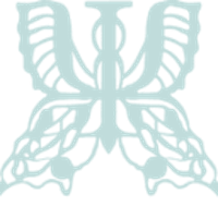 Serendipity Psychology - Private ADHD Clinic Logo