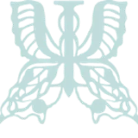 Serendipity Psychology - Private ADHD Clinic Logo